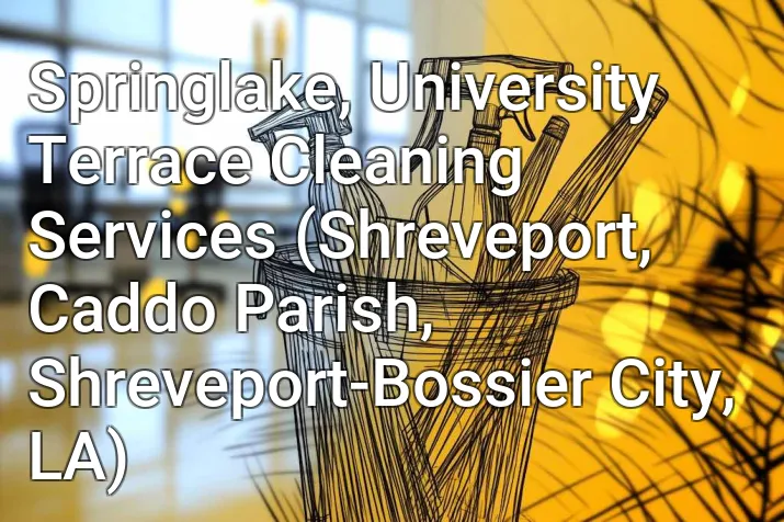 Springlake, University Terrace Cleaning Services (Shreveport, Caddo Parish, Shreveport-Bossier City, LA)