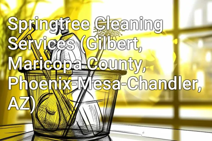 Springtree Cleaning Services (Gilbert, Maricopa County, Phoenix-Mesa-Chandler, AZ)