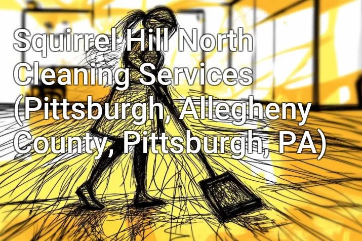 Squirrel Hill North Cleaning Services (Pittsburgh, Allegheny County, Pittsburgh, PA)