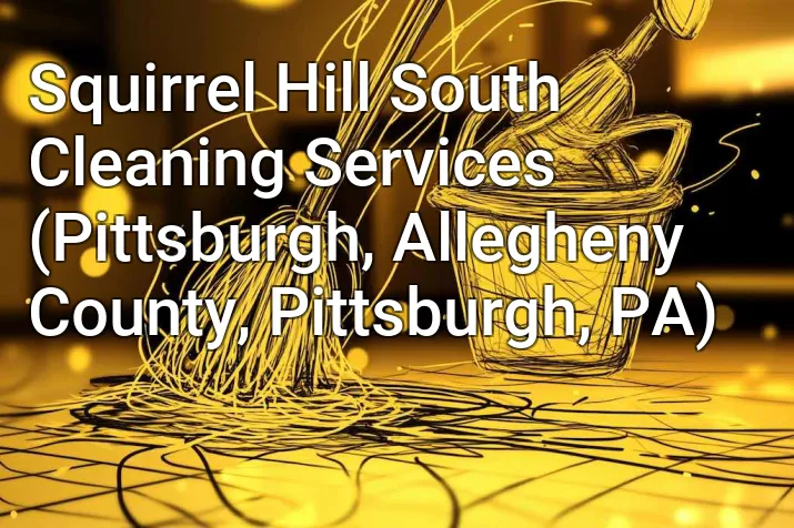 Squirrel Hill South Cleaning Services (Pittsburgh, Allegheny County, Pittsburgh, PA)