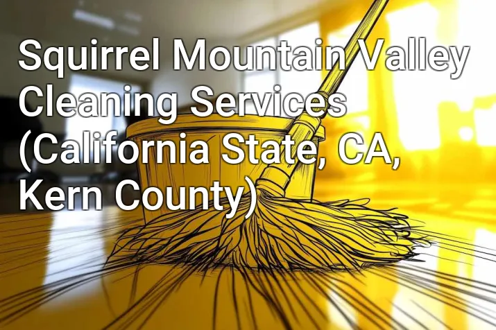 Squirrel Mountain Valley Cleaning Services (California State, CA, Kern County)