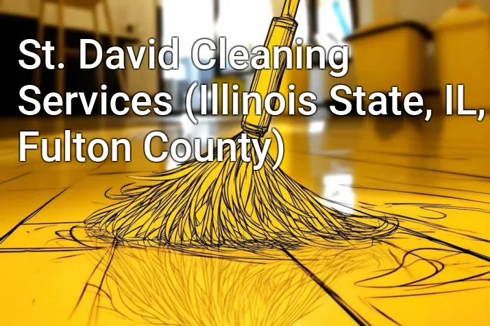 St. David Cleaning Services (Illinois State, IL, Fulton County)