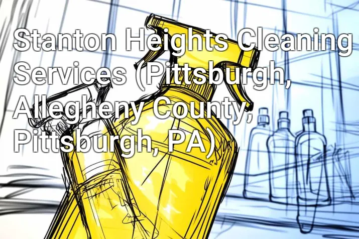 Stanton Heights Cleaning Services (Pittsburgh, Allegheny County, Pittsburgh, PA)