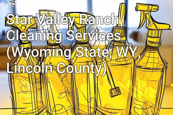 Star Valley Ranch Cleaning Services (Wyoming State, WY, Lincoln County)