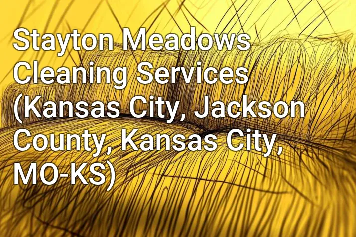 Stayton Meadows Cleaning Services (Kansas City, Jackson County, Kansas City, MO-KS)