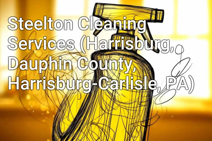 Steelton Cleaning Services (Harrisburg, Dauphin County, Harrisburg-Carlisle, PA)