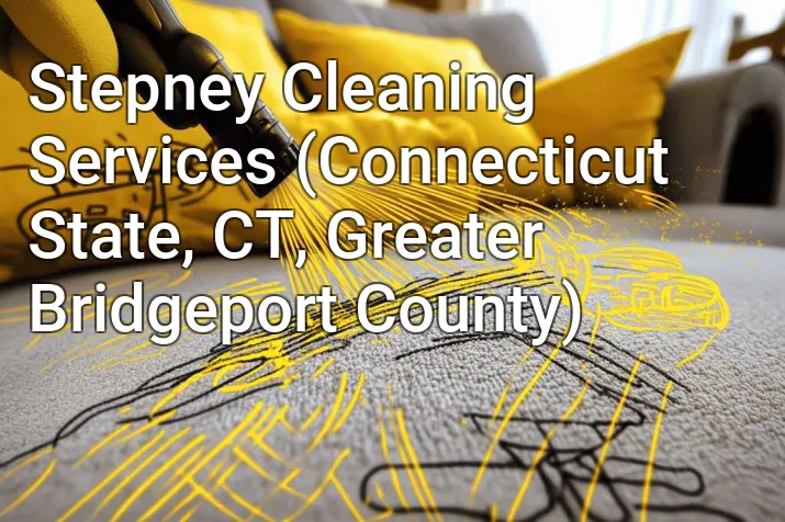 Stepney Cleaning Services (Connecticut State, CT, Greater Bridgeport County)