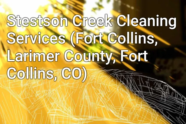 Stestson Creek Cleaning Services (Fort Collins, Larimer County, Fort Collins, CO)