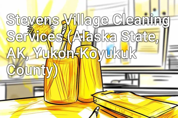 Stevens Village Cleaning Services (Alaska State, AK, Yukon-Koyukuk County)