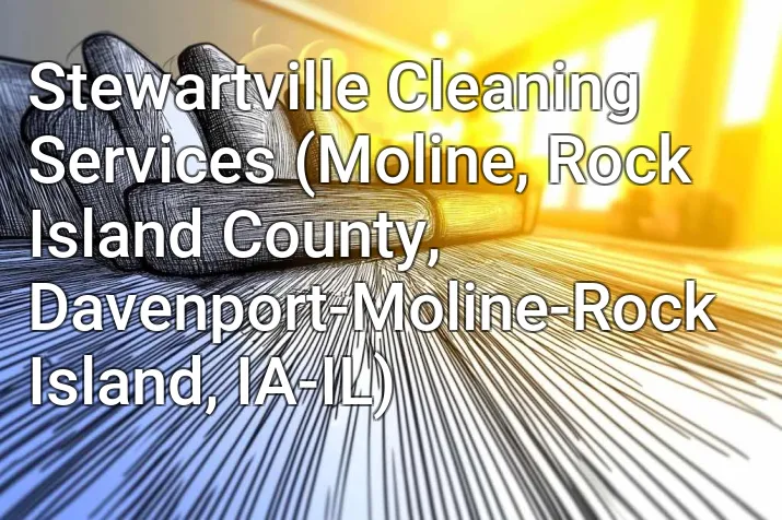 Stewartville Cleaning Services (Moline, Rock Island County, Davenport-Moline-Rock Island, IA-IL)