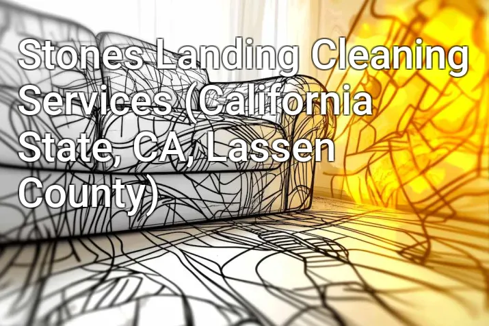 Stones Landing Cleaning Services (California State, CA, Lassen County)