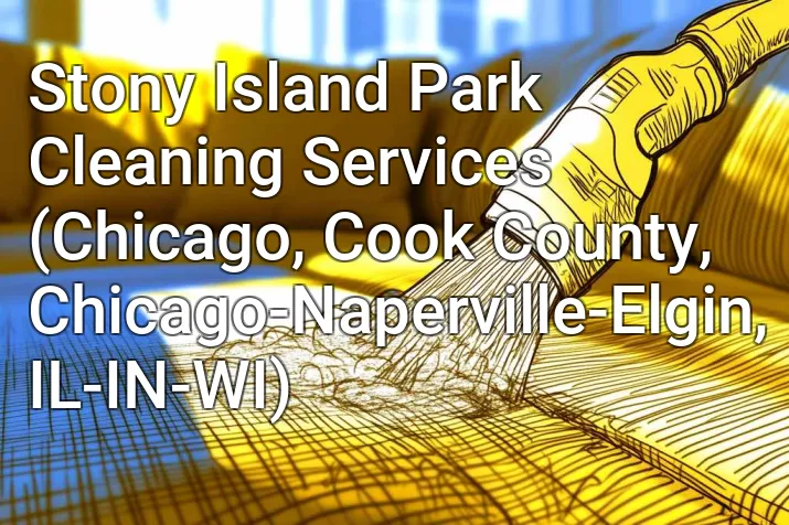 Stony Island Park Cleaning Services (Chicago, Cook County, Chicago-Naperville-Elgin, IL-IN-WI)