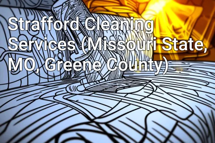 Strafford Cleaning Services (Missouri State, MO, Greene County)