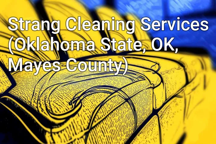 Strang Cleaning Services (Oklahoma State, OK, Mayes County)