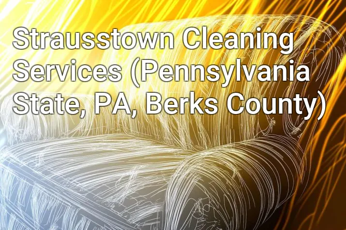 Strausstown Cleaning Services (Pennsylvania State, PA, Berks County)