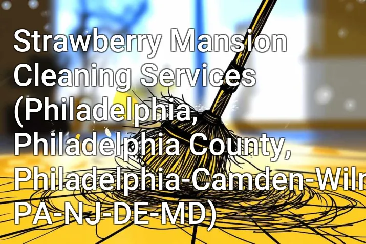 Strawberry Mansion Cleaning Services (Philadelphia, Philadelphia County, Philadelphia-Camden-Wilmington, PA-NJ-DE-MD)