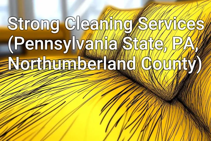 Strong Cleaning Services (Pennsylvania State, PA, Northumberland County)