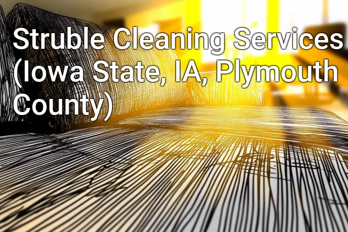 Struble Cleaning Services (Iowa State, IA, Plymouth County)