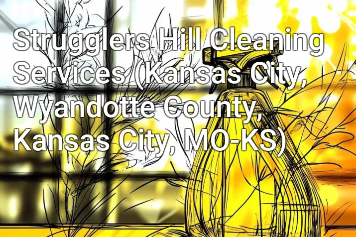 Strugglers Hill Cleaning Services (Kansas City, Wyandotte County, Kansas City, MO-KS)