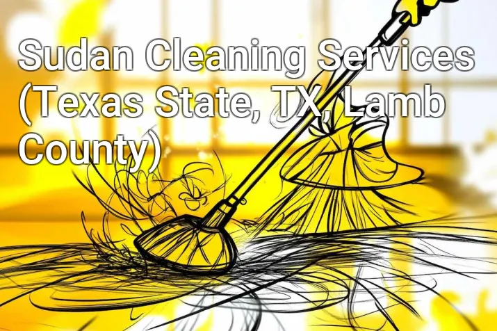 Sudan Cleaning Services (Texas State, TX, Lamb County)