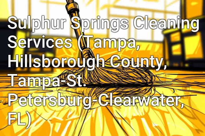 Sulphur Springs Cleaning Services (Tampa, Hillsborough County, Tampa-St. Petersburg-Clearwater, FL)