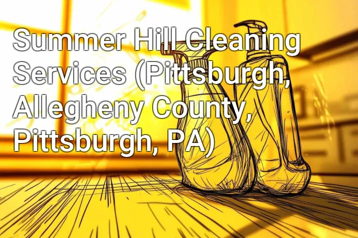 Summer Hill Cleaning Services (Pittsburgh, Allegheny County, Pittsburgh, PA)