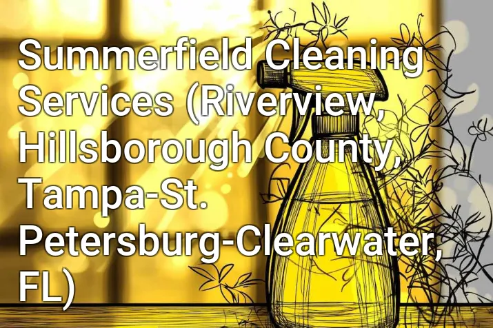Summerfield Cleaning Services (Riverview, Hillsborough County, Tampa-St. Petersburg-Clearwater, FL)