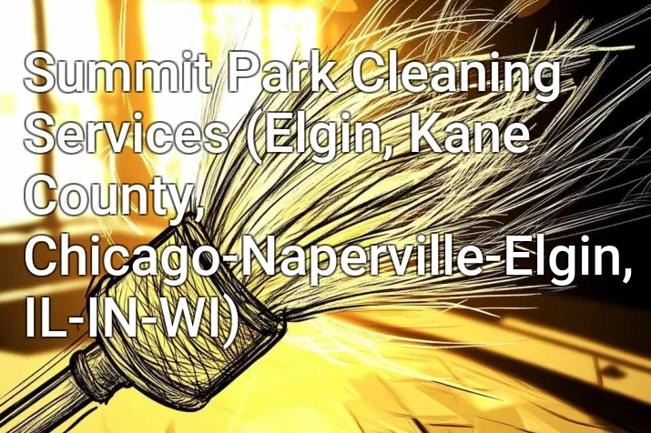 Summit Park Cleaning Services (Elgin, Kane County, Chicago-Naperville-Elgin, IL-IN-WI)
