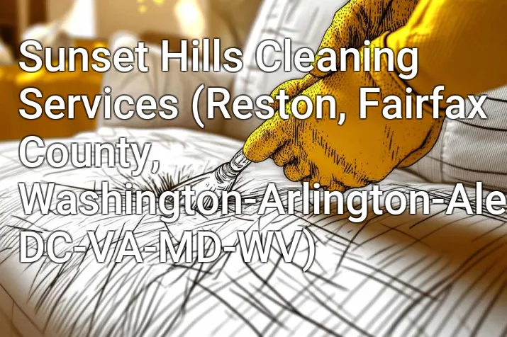 Sunset Hills Cleaning Services (Reston, Fairfax County, Washington-Arlington-Alexandria, DC-VA-MD-WV)