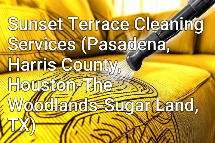 Sunset Terrace Cleaning Services (Pasadena, Harris County, Houston-The Woodlands-Sugar Land, TX)