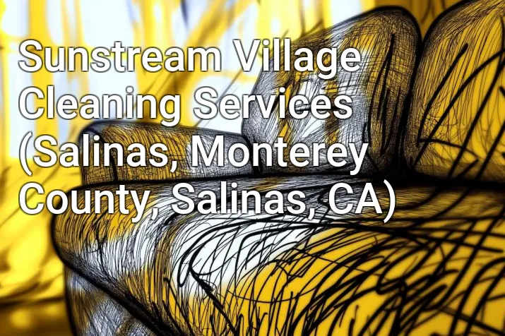 Sunstream Village Cleaning Services (Salinas, Monterey County, Salinas, CA)