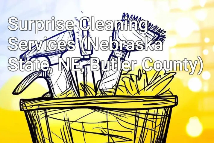 Surprise Cleaning Services (Nebraska State, NE, Butler County)