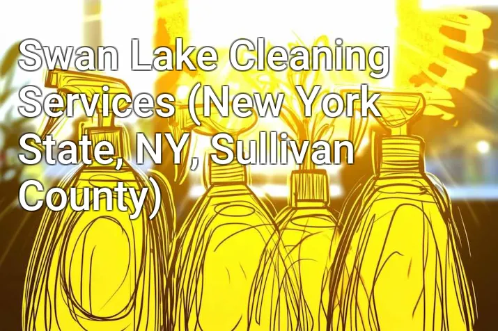 Swan Lake Cleaning Services (New York State, NY, Sullivan County)