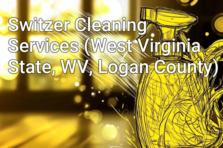 Switzer Cleaning Services (West Virginia State, WV, Logan County)