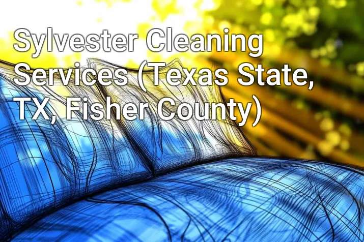 Sylvester Cleaning Services (Texas State, TX, Fisher County)