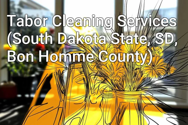 Tabor Cleaning Services (South Dakota State, SD, Bon Homme County)