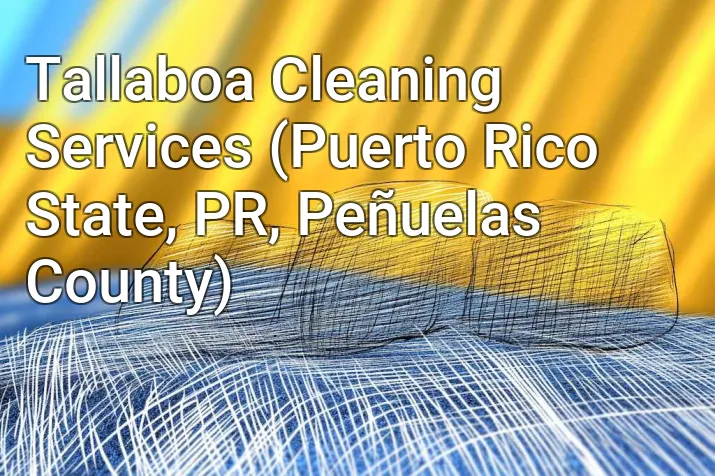Tallaboa Cleaning Services (Puerto Rico State, PR, Peñuelas County)