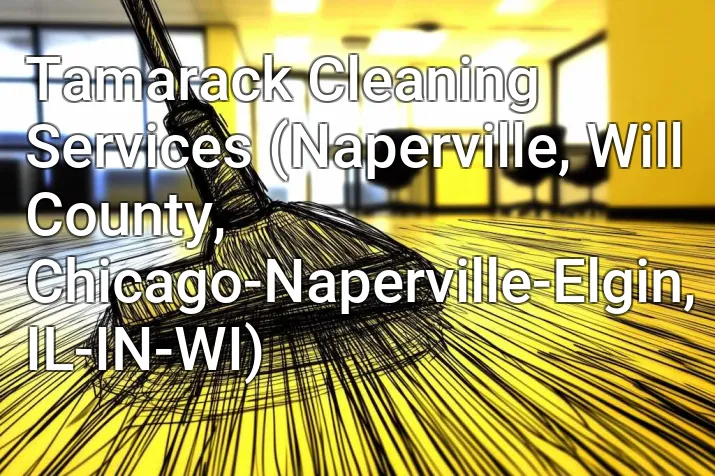 Tamarack Cleaning Services (Naperville, Will County, Chicago-Naperville-Elgin, IL-IN-WI)
