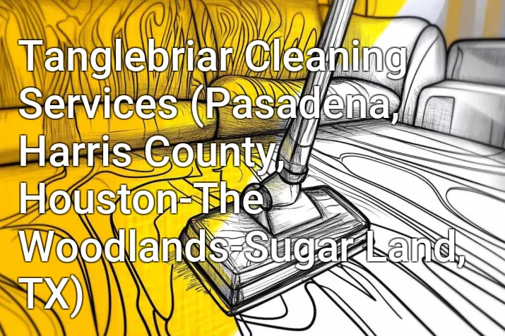 Tanglebriar Cleaning Services (Pasadena, Harris County, Houston-The Woodlands-Sugar Land, TX)