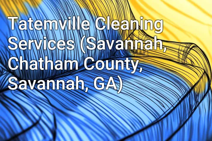 Tatemville Cleaning Services (Savannah, Chatham County, Savannah, GA)
