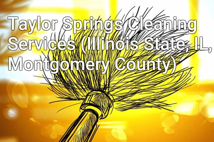 Taylor Springs Cleaning Services (Illinois State, IL, Montgomery County)