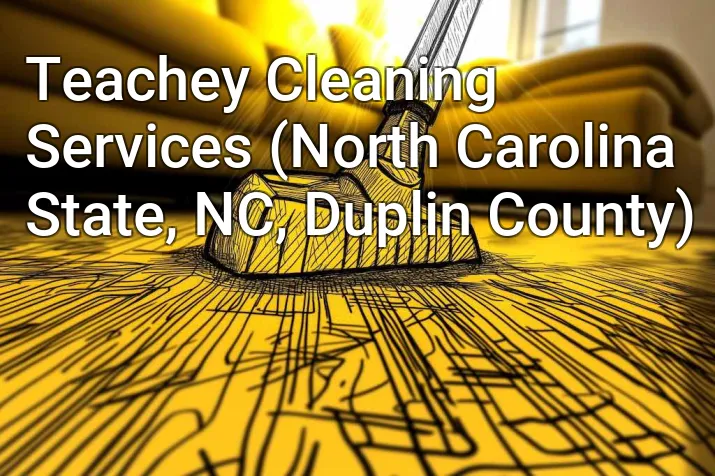 Teachey Cleaning Services (North Carolina State, NC, Duplin County)