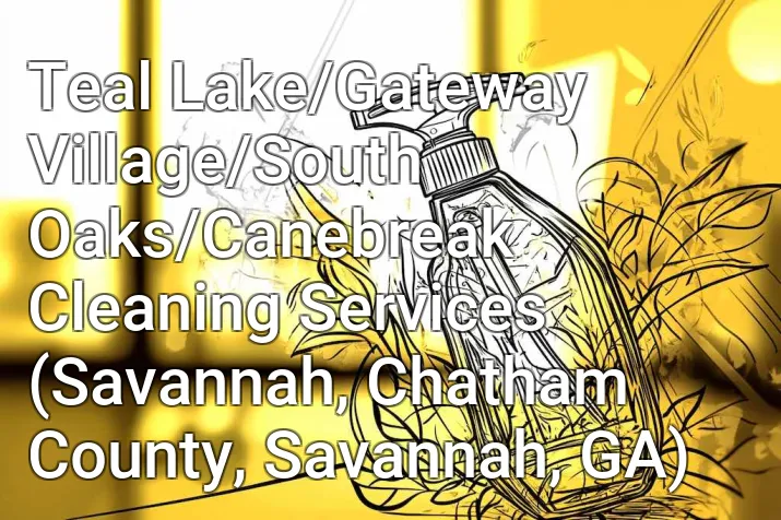 Teal Lake/Gateway Village/South Oaks/Canebreak Cleaning Services (Savannah, Chatham County, Savannah, GA)