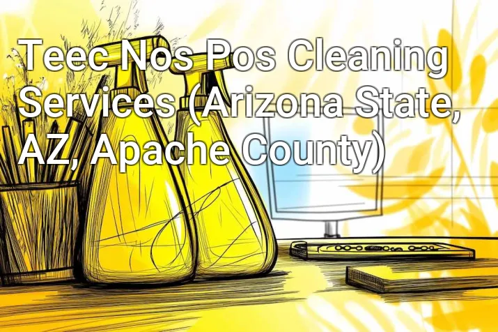 Teec Nos Pos Cleaning Services (Arizona State, AZ, Apache County)