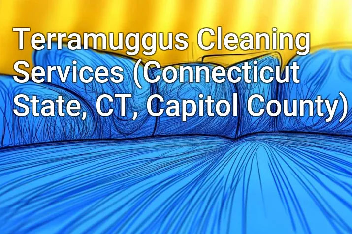 Terramuggus Cleaning Services (Connecticut State, CT, Capitol County)