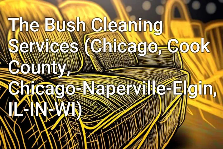 The Bush Cleaning Services (Chicago, Cook County, Chicago-Naperville-Elgin, IL-IN-WI)