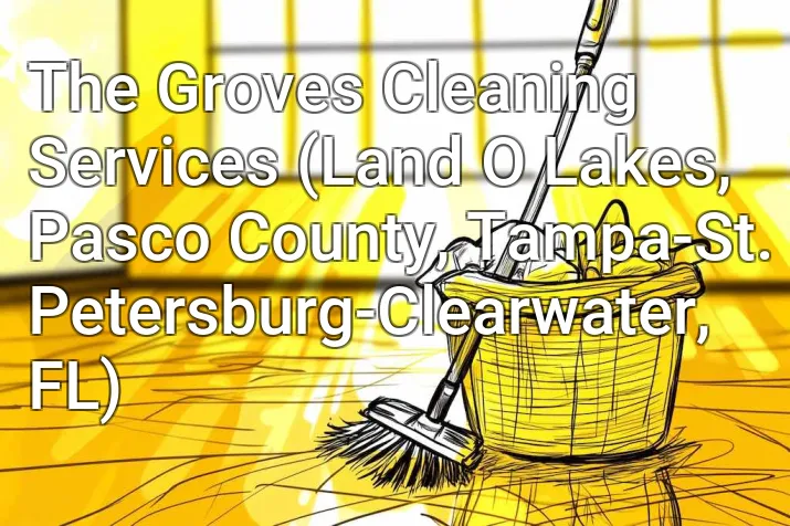 The Groves Cleaning Services (Land O Lakes, Pasco County, Tampa-St. Petersburg-Clearwater, FL)