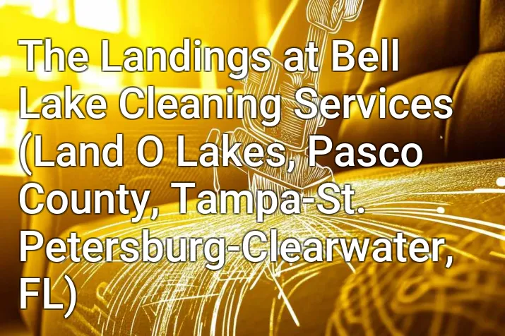 The Landings at Bell Lake Cleaning Services (Land O Lakes, Pasco County, Tampa-St. Petersburg-Clearwater, FL)