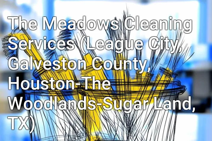 The Meadows Cleaning Services (League City, Galveston County, Houston-The Woodlands-Sugar Land, TX)