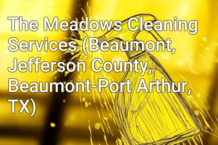 The Meadows Cleaning Services (Beaumont, Jefferson County, Beaumont-Port Arthur, TX)
